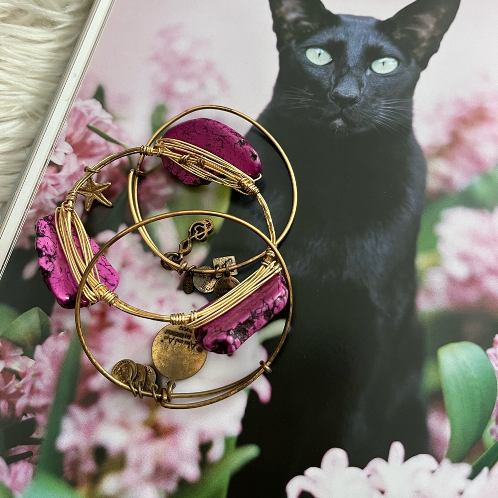 Alex and Ani hand crafted multi charm bracelet
